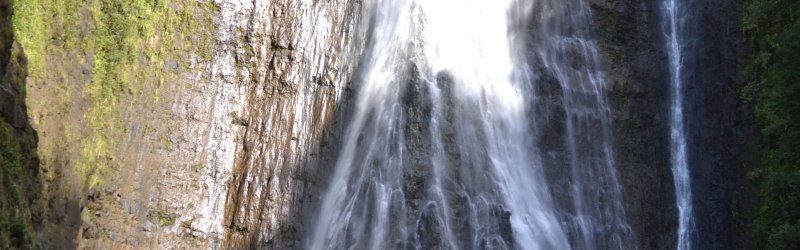 "There is a hidden message in every waterfall. It says, if you are flexible, falling will not hurt you!" - Mehmet Murat Ildan